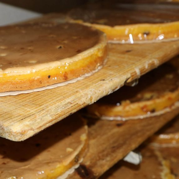 Zwiebelkuchen